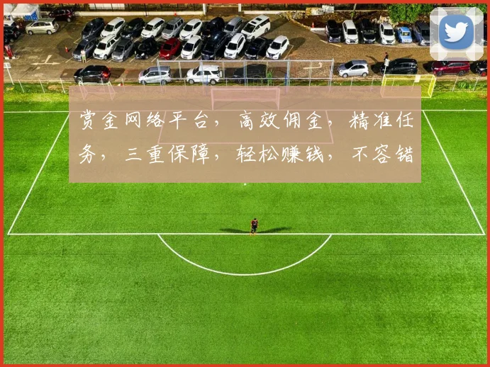 赏金网络平台，高效佣金，精准任务，三重保障，轻松赚钱，不容错过，立即加入