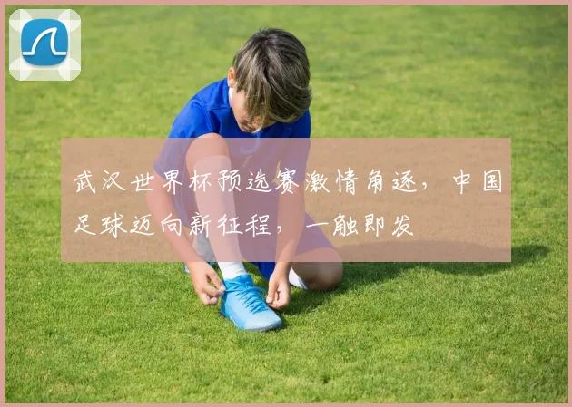 武汉世界杯预选赛激情角逐，中国足球迈向新征程，一触即发