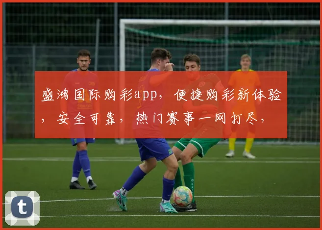 盛鸿国际购彩app，便捷购彩新体验，安全可靠，热门赛事一网打尽，让您轻松中奖