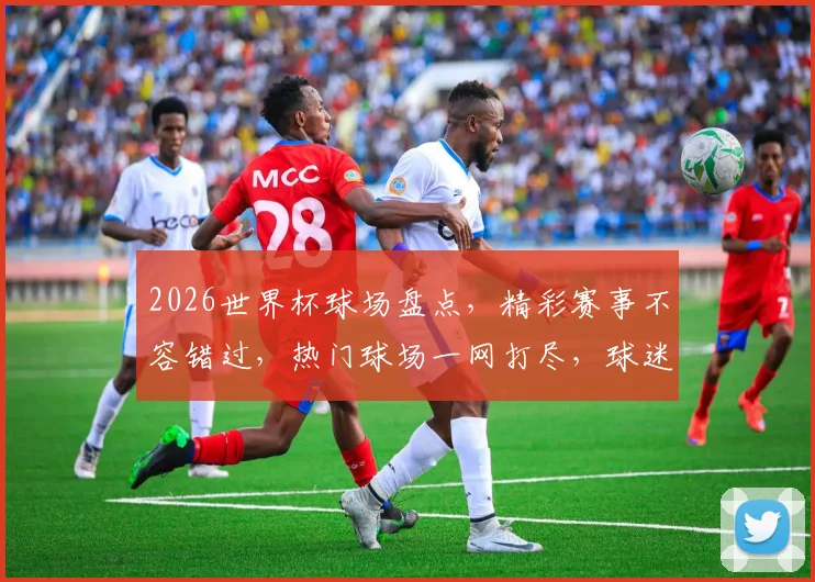 2026世界杯球场盘点，精彩赛事不容错过，热门球场一网打尽，球迷必看