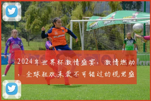 2024年世界杯激情盛宴，激情燃动，全球狂欢来袭不可错过的视觉盛宴